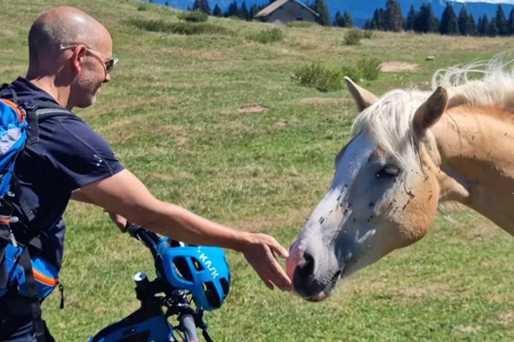 Cavallo Folgaria